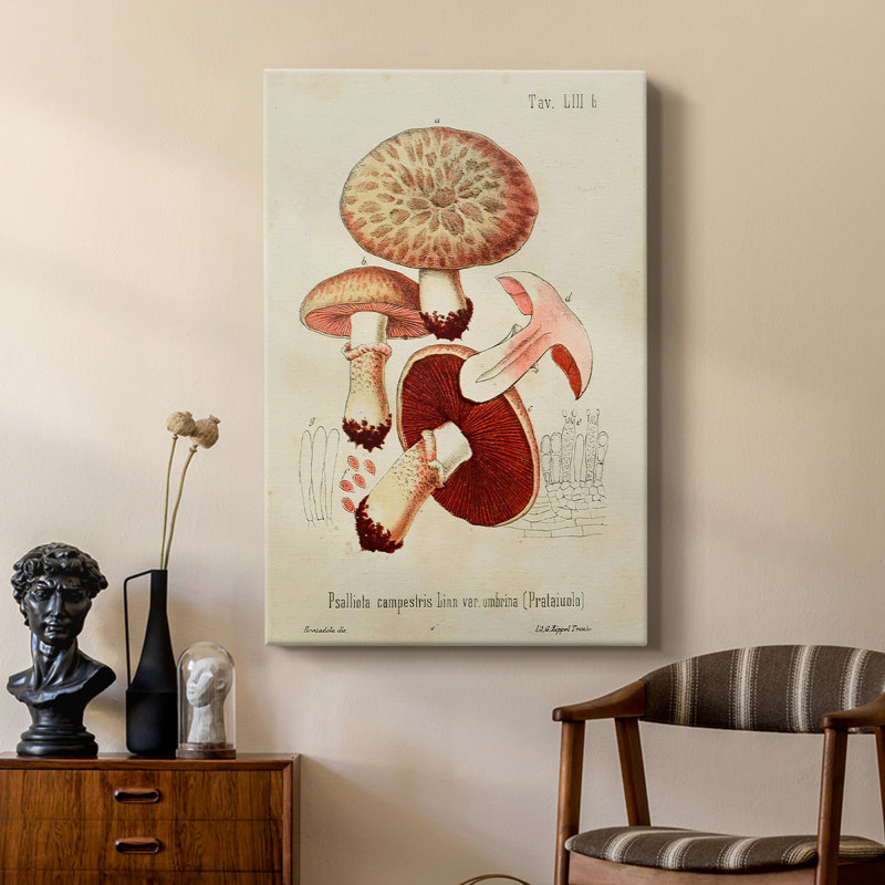 Mushroom Variétés II - galerie Cavas sur mesure, H 18 po x l 12 po