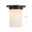 Mineral 8-in Brass Flush Mount-2016278281-2016278282