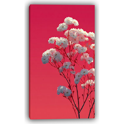 Cherry Bloom Horizon - Cherry Blossom Floral Canvas Wall Art