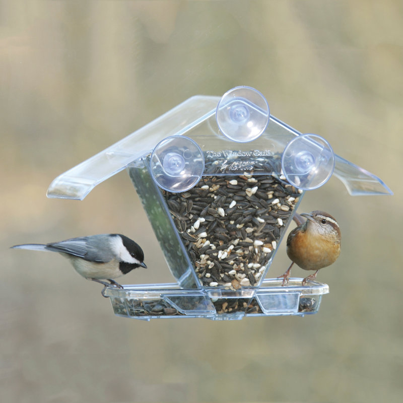 Mangeoire à oiseaux à fenêtre Kizer Cafe