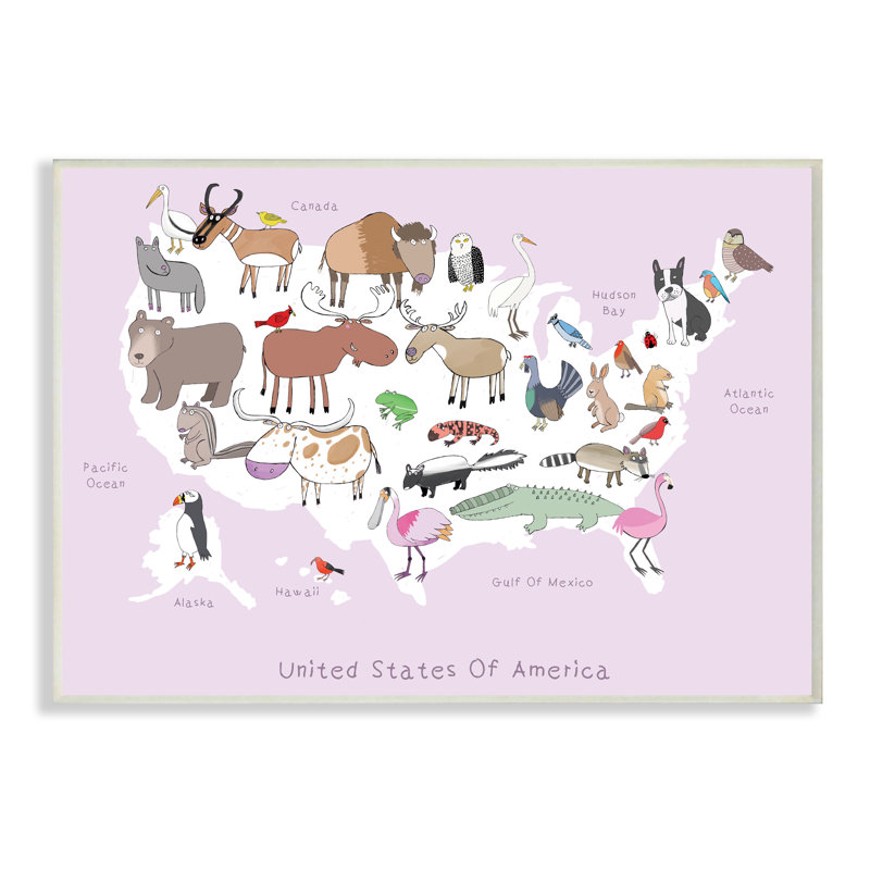 Carte des animaux sauvages rose des États-Unis, H 10 po x l 15 po, Plaque murale