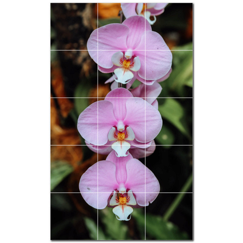 Fleurs photo 4,25 x 4,25
