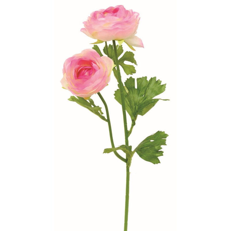 Ranunculus Arrangement, Pink