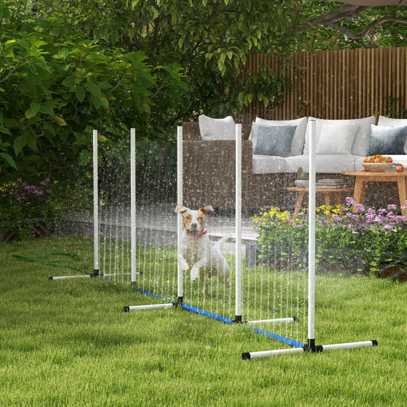 Entraînement efficace d'agilité de chien avec des poteaux de tissage, un tube d'eau, un sifflet, un sac de transport, une trousse pour l'extérieur