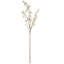 Cielo Cherry Blossom Arrangement