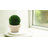 Faux Boxwood Topiary in Ceramic Pot-618584862