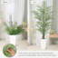 Plant-895383160