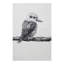 Marini Ferlazzo Cotton Waffle Tea Towel Kitchen Towel