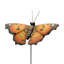 Piquet de jardin Hicran-594772884-655099375