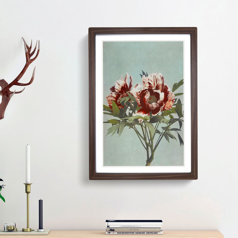 Tree Peony by Kazumasa Ogawa - Picture Frame Painting Print, 65cm H x 48cm W x 2cm D, Walnut Framed