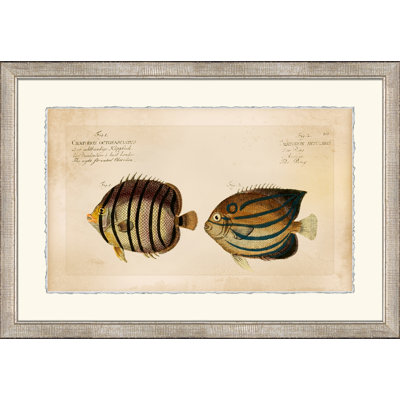 Horizontal Chatodon 3 Painting