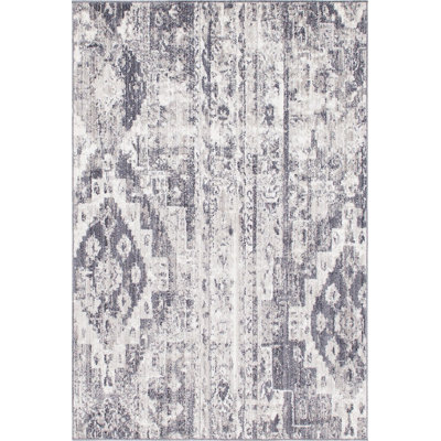 Tapis gris de style sud-ouest Mulvaney