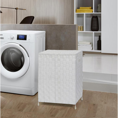 Plastic Laundry Hamper with Handles
