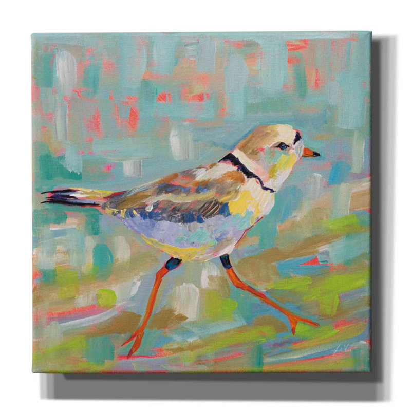 «Coastal Plover I» par Jeanette Vertentes, art mural sur toile, H 26 po x l 26 po x P 1,5 po