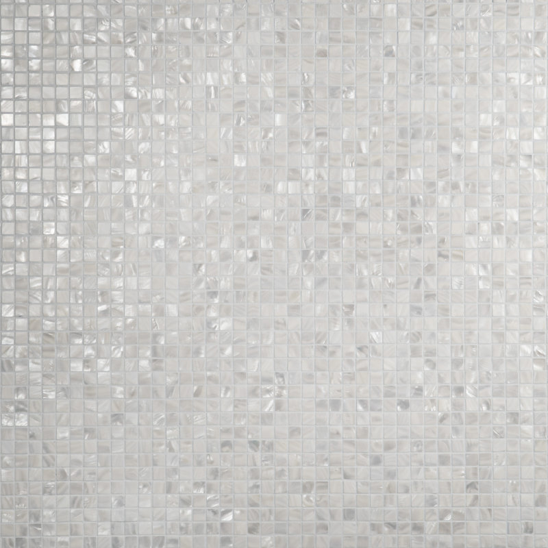 Carreau de mosaïque coquillage 0,75 po x 0,75 po Conchella