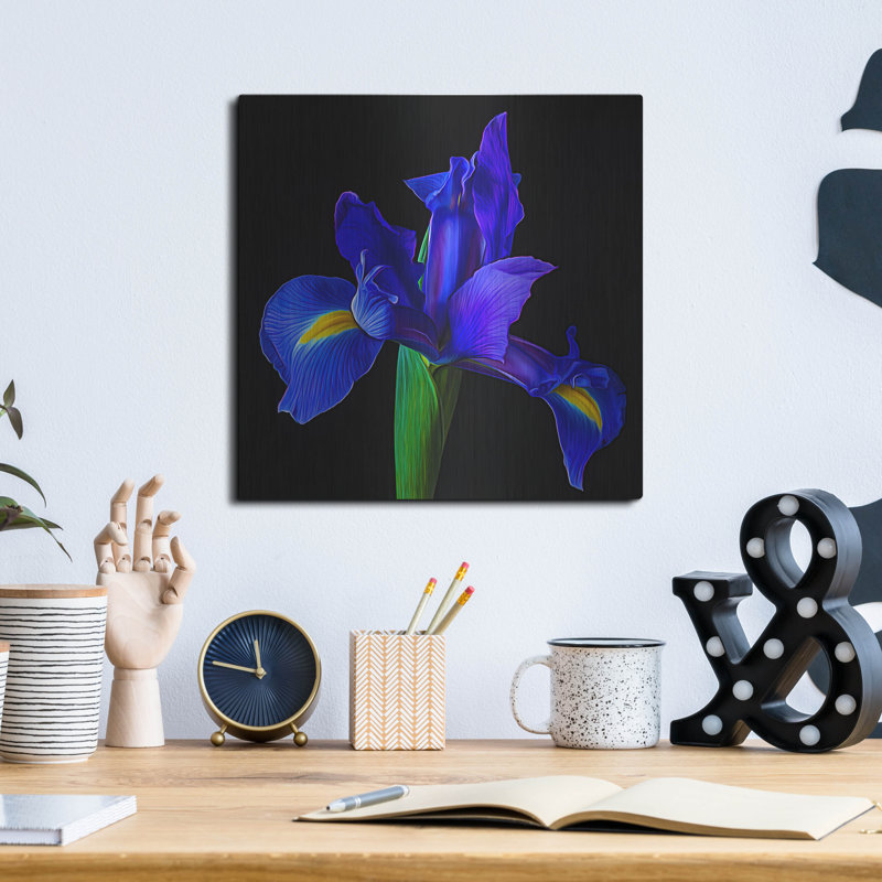 Iris bleu par Pamela Plummer, H 12 po x l 12 po