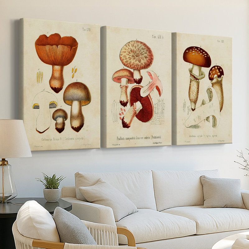 Mushroom Variétés I - Toile tendue sur mesure avec châssis - 3 pièces, H 27 po x l 54 po