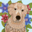 « golden retriever », impression sur toile tendue-20192000-75096193