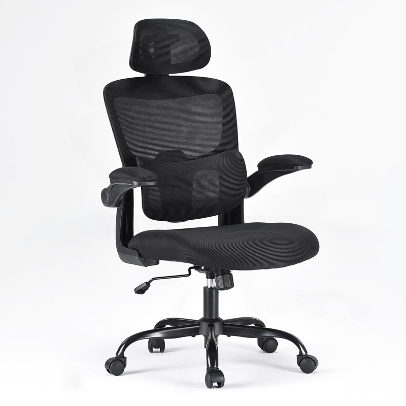 Chaise de bureau ergonomique, chaise de bureau à haut dossier avec accoudoirs rabattables et support lombaire réglable, chaise d'ordinateur pour la maison et le bureau