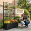 Planter Box-599340595-599340599
