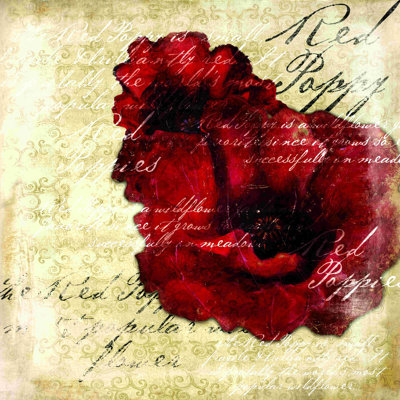 " The Red Poppy " Painting Print