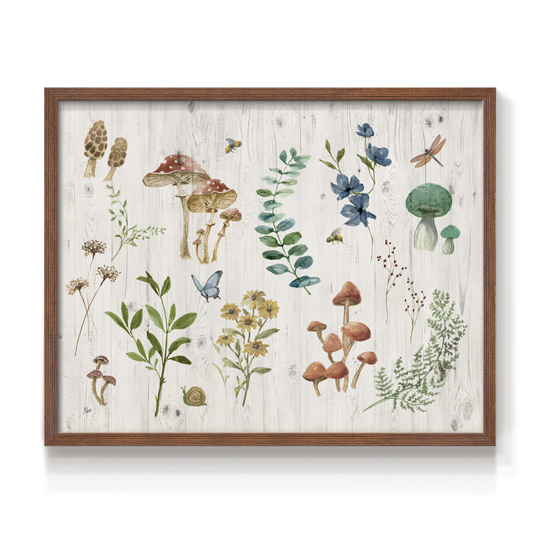 Woodland Treasures - Impression encadrée - Restickable, Noyer, H 16 po x l 20 po