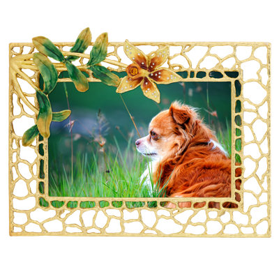 Splendora Picture Frame