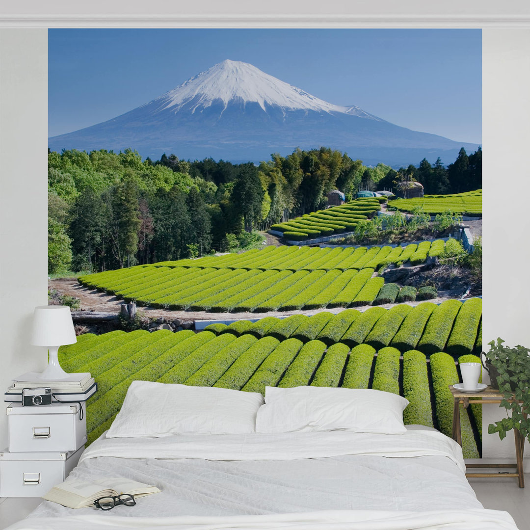 Tea Fields in Front of Mount Fuji 1.92m x 1.92m Textured Matte Peel & Stick Wall Mural