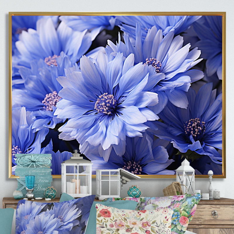 Cornflowers Field II - Floral Canvas Wall Art, Cadre flottant doré, H 16 po x l 32 po x P 1 po
