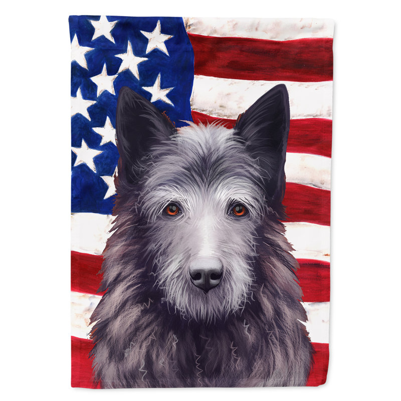 Polyester à 2 côtés 15 x 11 po drapeau de jardin, Bouvier des Ardennes