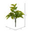 Feuille Leaf Pothos