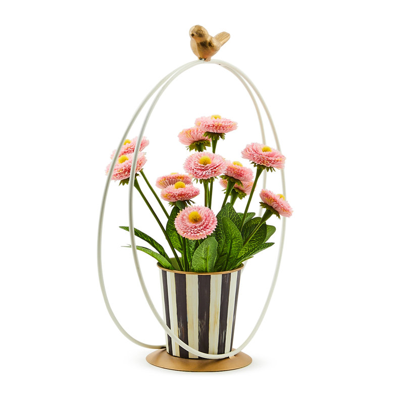 Song Bird Daisy Arrangement
