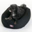 Lit ovale pour animal de compagnie-101007169-101007164