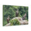 Vautour groupe de vautours impression d'art mural-1323018410
