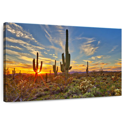 Alvord Sonoran Desert Saguaro Cactus