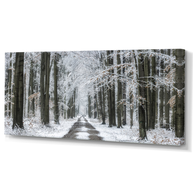 Forêt d'hiver - Photographie sur toile, H 8 po x l 12 po x P 1 po, Toile tendue