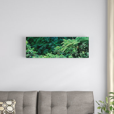 " View Of Rainforest, Papillote Wilderness Retreat And Nature Sanctuary, Dominica, Caribbean II " by Panoramic Images