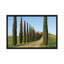 « cypress lineed saleté road », reproduction de photo sur toile-29175931-72777430-72773282