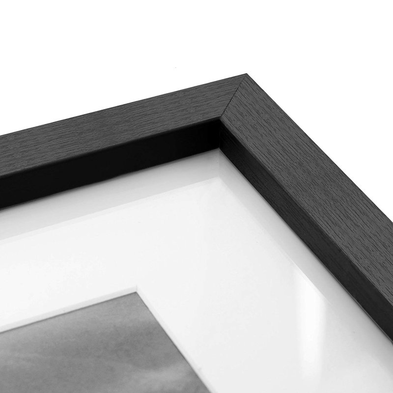 Mcgriff Wood Matte Picture Frame with Mat