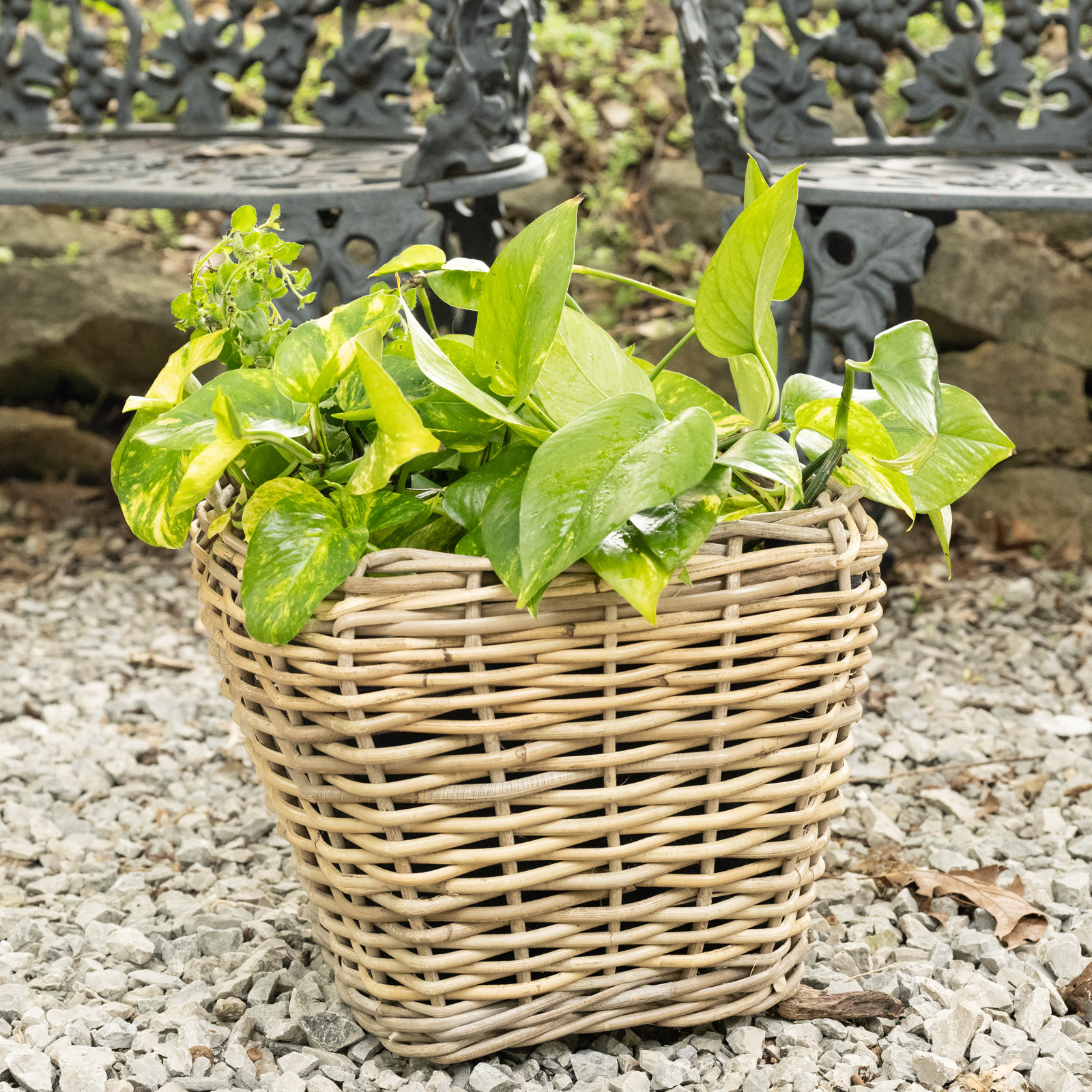 Square Tapered Planter With Plastic Insert