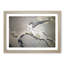 Falcon Birds by Matsumura Goshun - Picture Frame Painting Print-55535808-55535807