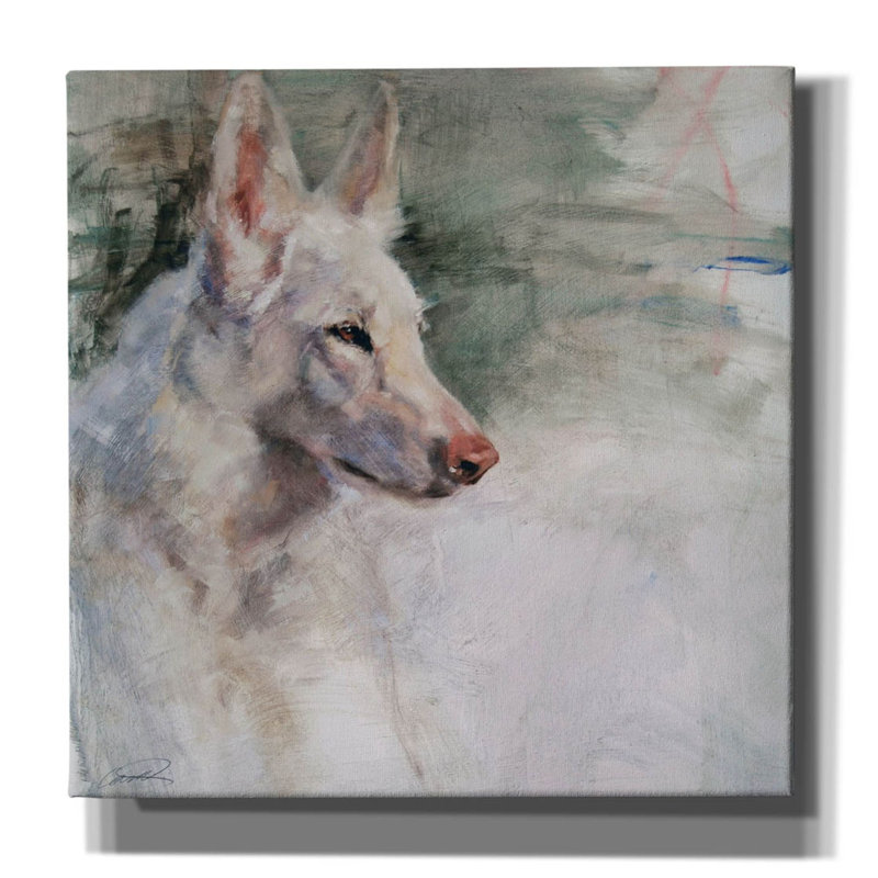 «Kaamil White Shepherd Wonder» par Robert Campbell - reproduction d'art sur toile tendue, H 12 po x l 12 po x P 0,75 po