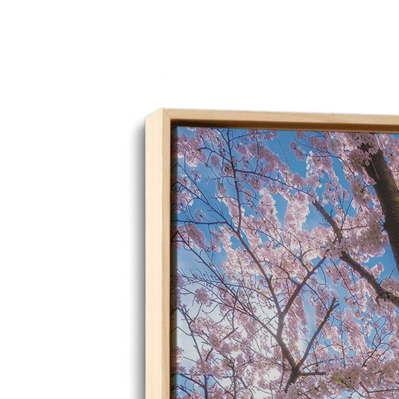 «Spring Serenade» par Martin Podt, reproduction d'art, L 24 po x H 36 po, Tanné, Toile avec cadre