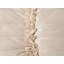 Beige Rectangular Cushion-1949882771