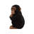 Monkey Baby Sitting Statue