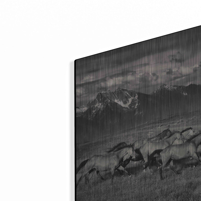 «Mountain Range Mavericks» par Lisa Dearing, art mural en métal, H 12 po x l 16 po