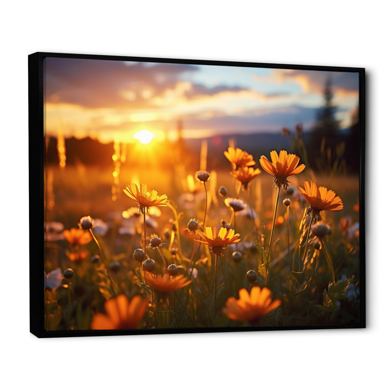 «Yellow Wildflowers Field with Sunset I», reproduction d'art sur toile, 12" H x 20" W, Gold Picture Framed
