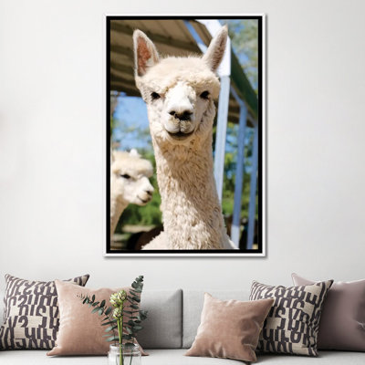 «White Alpaca With Friend» par Susan Vizvary - reproduction d'art