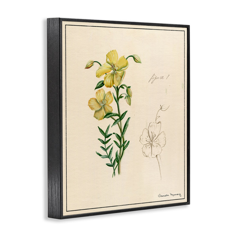 «Science Study Yellow Flower», estampe numérique, conception de Danielle Murray, H 14 po x l 11 po