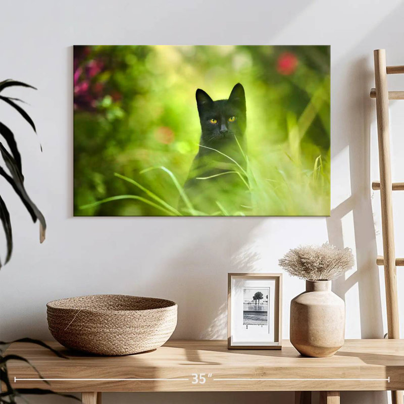 Chat noir Brampt, H 16 po x l 24 po